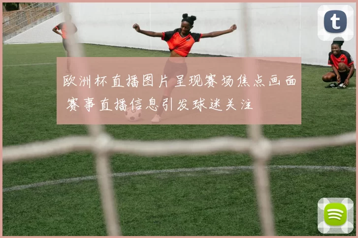 欧洲杯直播图片呈现赛场焦点画面 赛事直播信息引发球迷关注