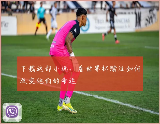 下载这部小说，看世界杯赌注如何改变他们的命运