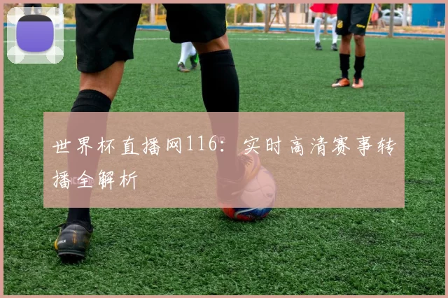 世界杯直播网116：实时高清赛事转播全解析
