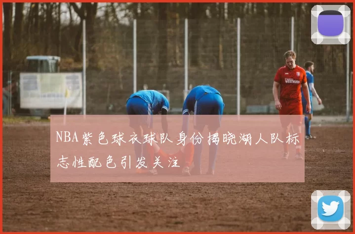 NBA紫色球衣球队身份揭晓湖人队标志性配色引发关注