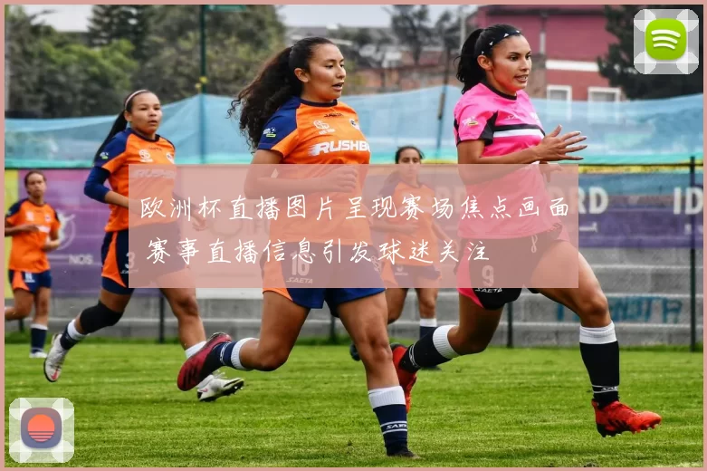 欧洲杯直播图片呈现赛场焦点画面 赛事直播信息引发球迷关注