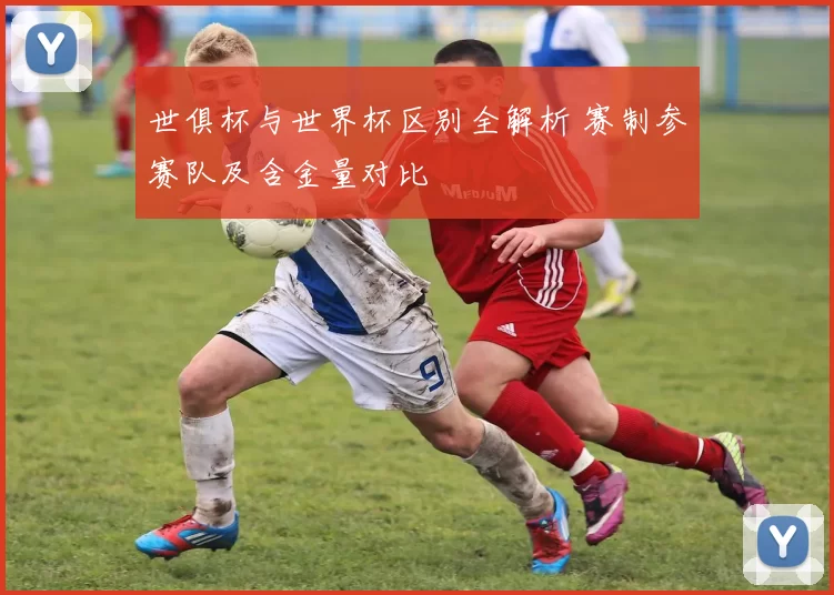 世俱杯与世界杯区别全解析 赛制参赛队及含金量对比