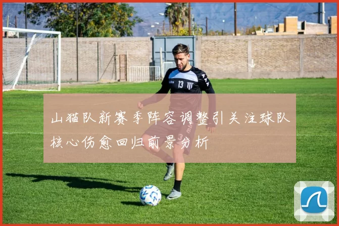 山猫队新赛季阵容调整引关注球队核心伤愈回归前景分析